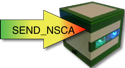 logo nsca_1